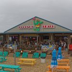 Coconut Beach-New Orleans beach volleyball-louisiana beach volleyball
