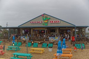Coconut Beach-New Orleans beach volleyball-louisiana beach volleyball-AVP New Orleans